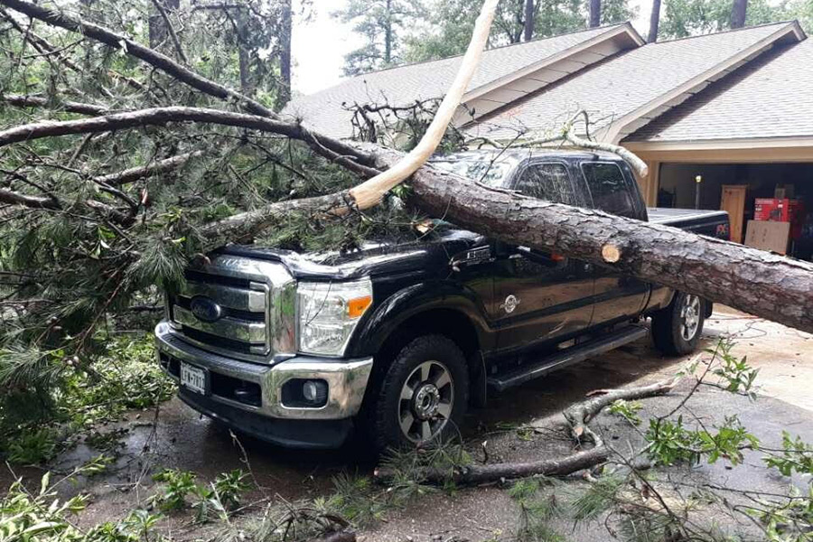 tree-fallen-over-truck-in-front-of-house-garage-door-nacogdoches-tx