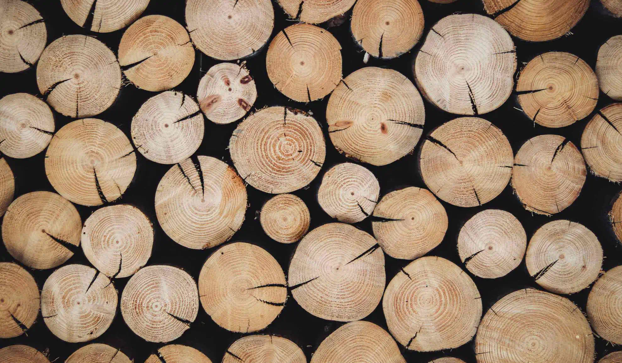 footer section image